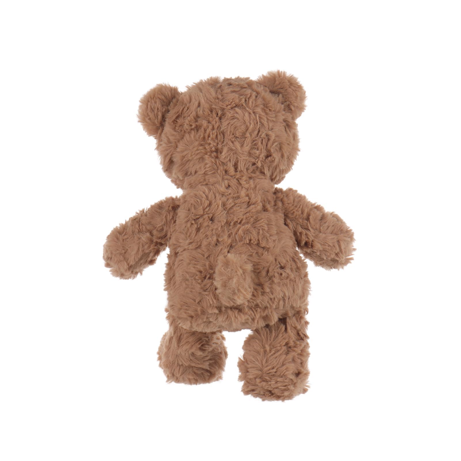 Care Bears 22061 14 Inch Medium Plush Cheer Bear, Collectable Cute Plush Toy, Cuddly