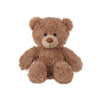 Care Bears 22061 14 Inch Medium Plush Cheer Bear, Collectable Cute Plush Toy, Cuddly